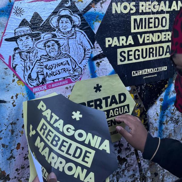 Patagonia rebelde y marrona